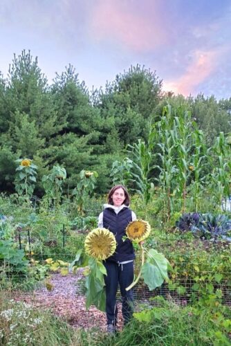 Heather Wright Wendel, standing amid plantings and holding two sunflower heads from her solar-powered farm in Houghton, Michigan. photo provided by Heather Wright Wendel.